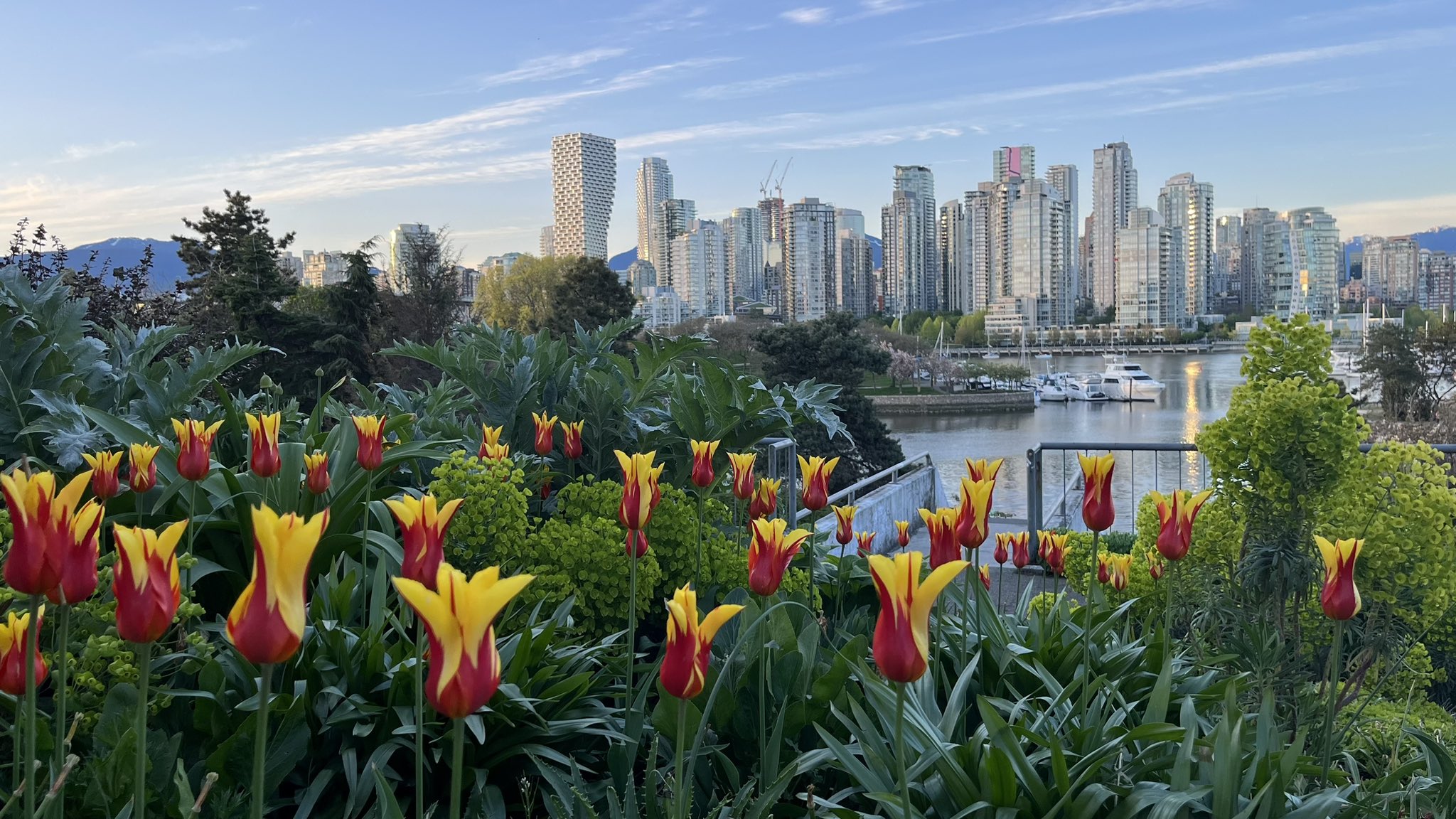 BC heatwave breaks temperature records CityNews Vancouver