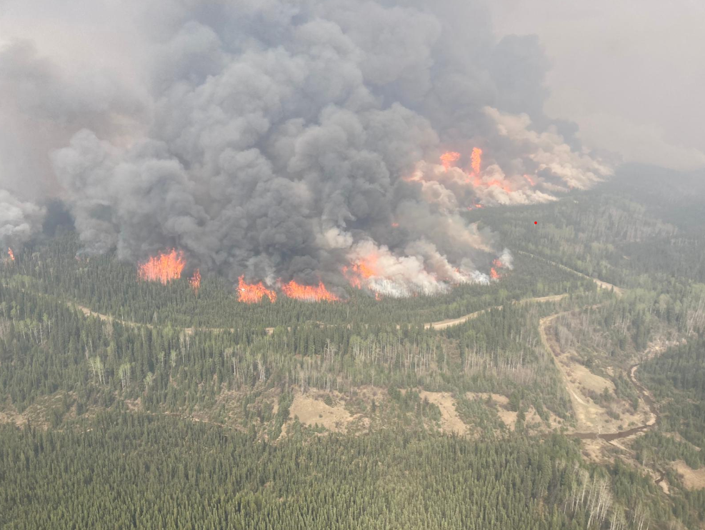 A wildfire burns through a forest area with thick smoke pouring overhead.