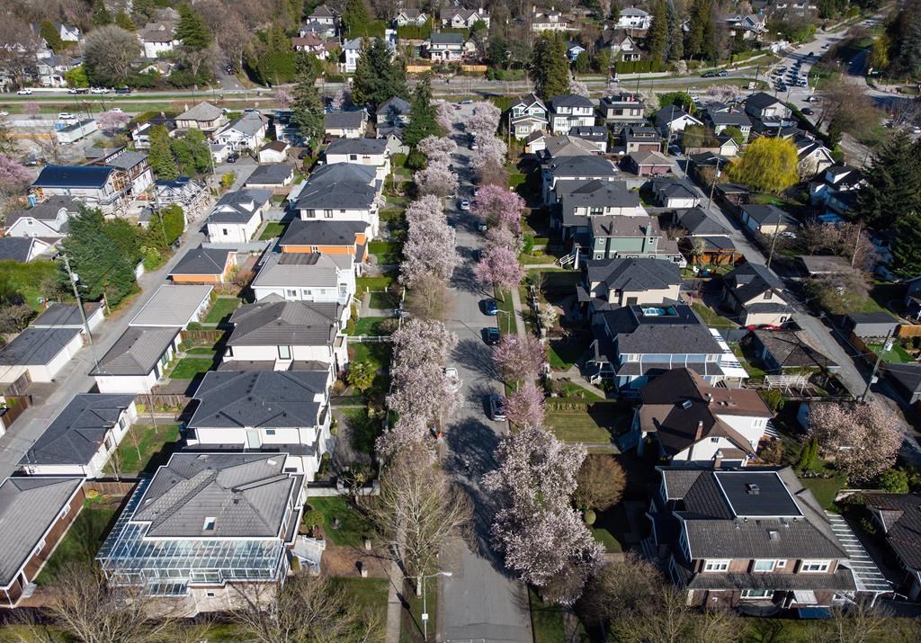 Cherry blossom trees line a residential street in Vancouver, on Tuesday, April 4, 2023.