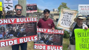 a group of protestors hold sings that say things like rodeo is no fun for animals and only bullies ride bulls, this is in protest of a surrey rodeo in cloverdale