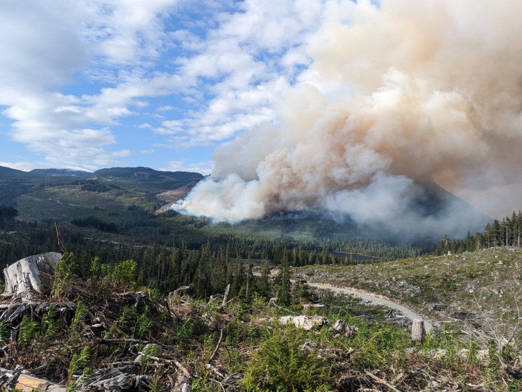 a large plume of smoke seen billowing on Vancouver Island