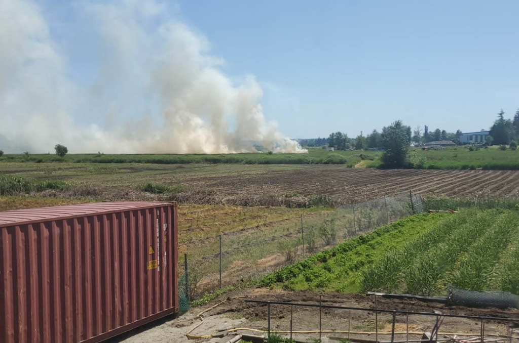 Smoke rises from a field in Surrey where a small plane crashed