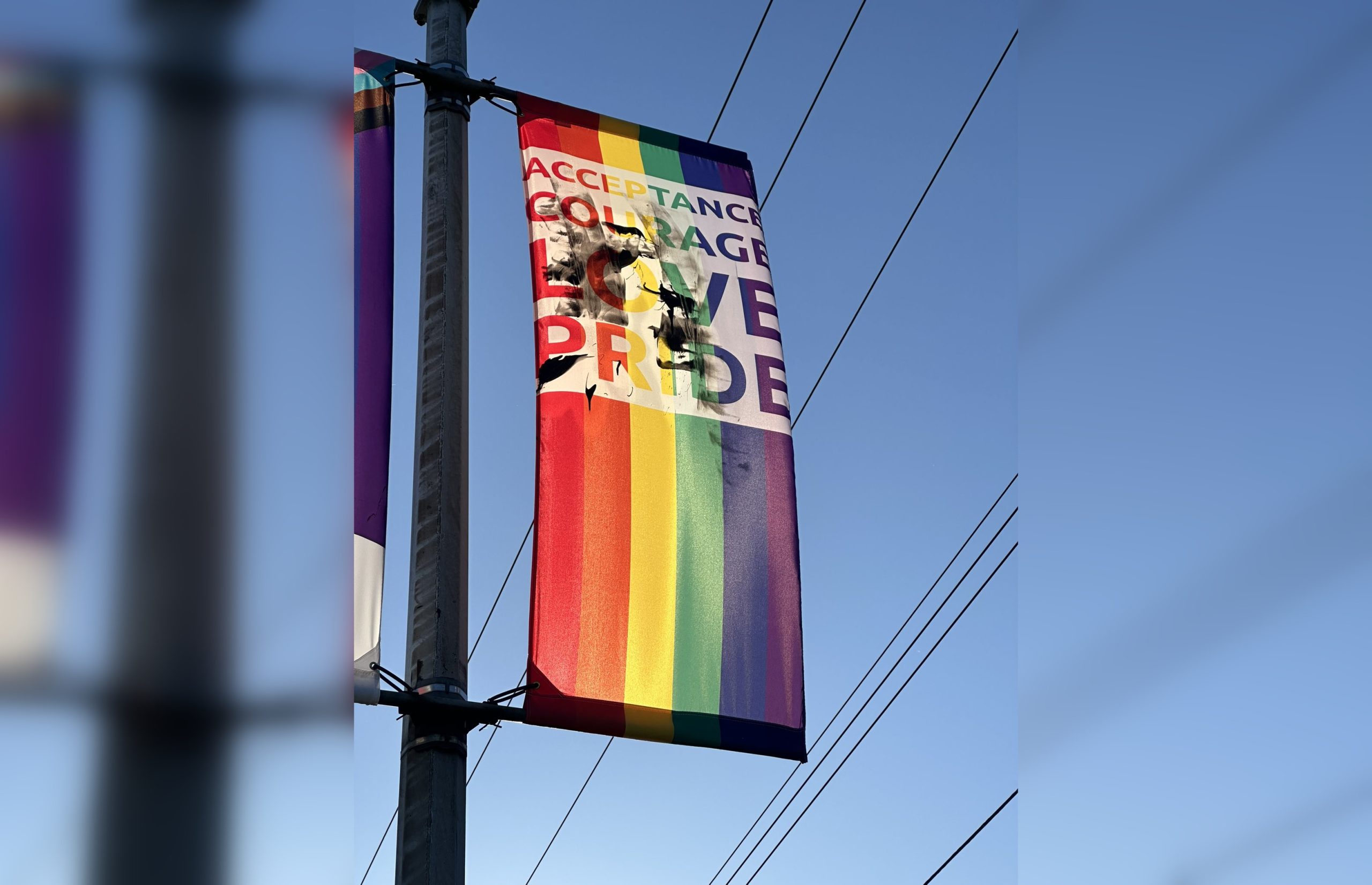 Pride Month  City of Surrey