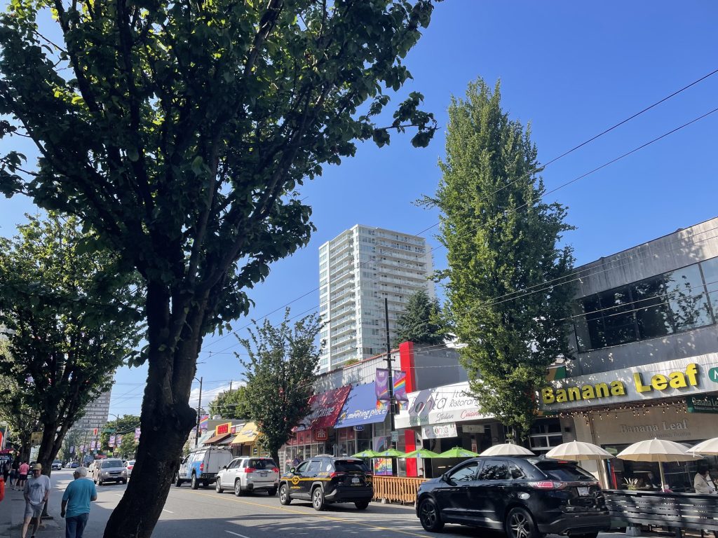 A tree along the side of Davie Street in Downtown Vancouver.