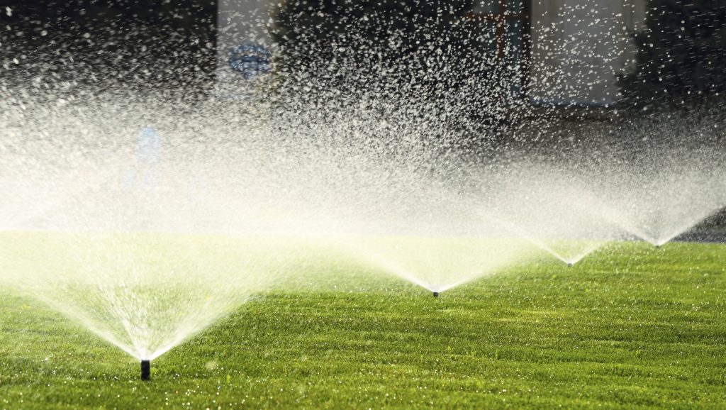 A lawn being watered by sprinklers