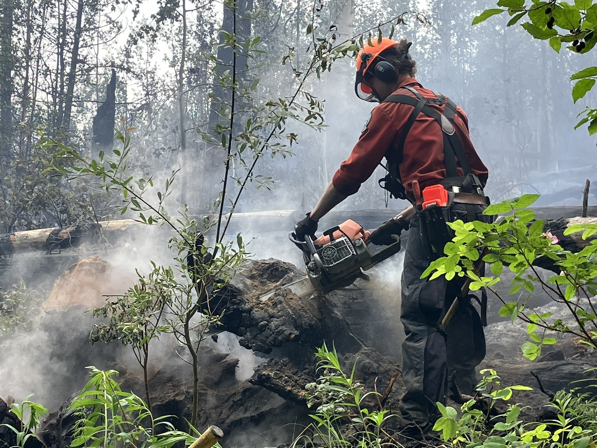 Firefighters at the Donnie Creek wildfire in B.C.