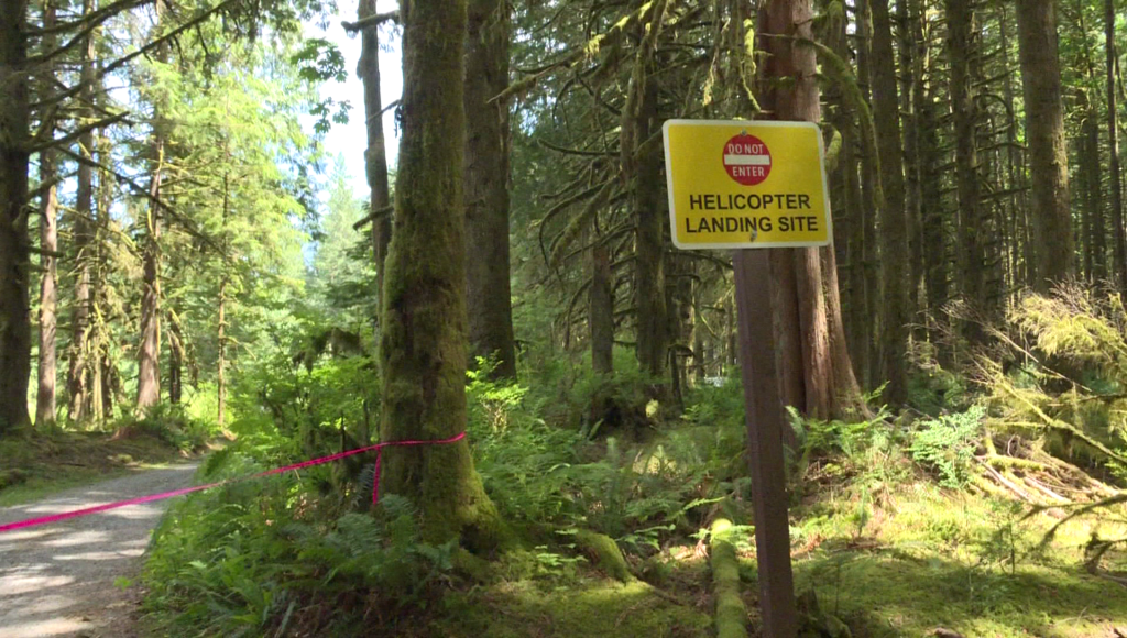 A helicopter landing site sign in a forest