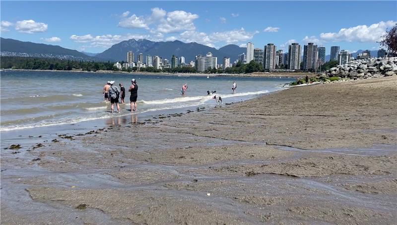 A sandy beach is seen at Kits Point