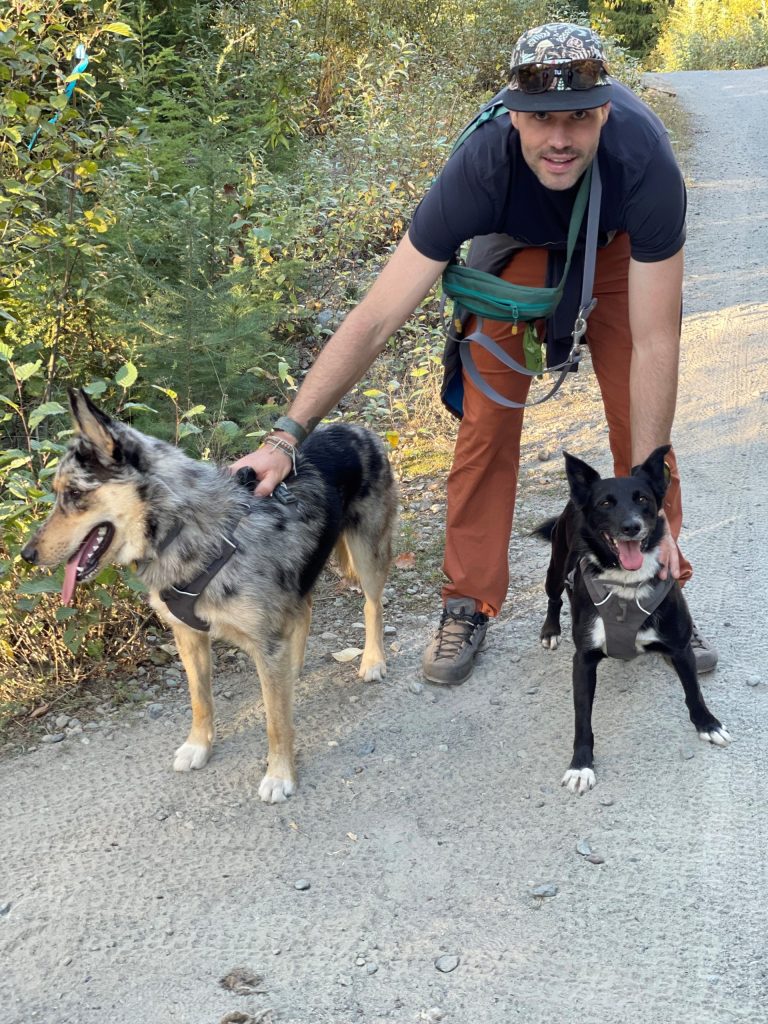 Two dogs owned by a man in North Vancouver.