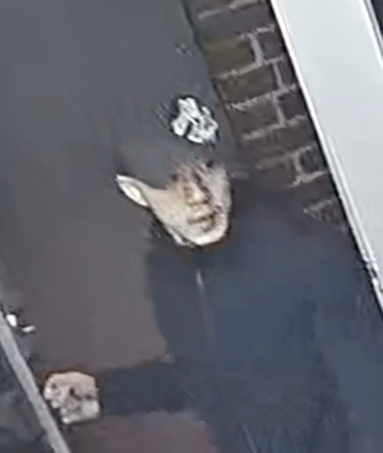 Vancouver police are hoping to speak with this man whom they believe has information about an armed robbery at a Yaletown nightclub in April.