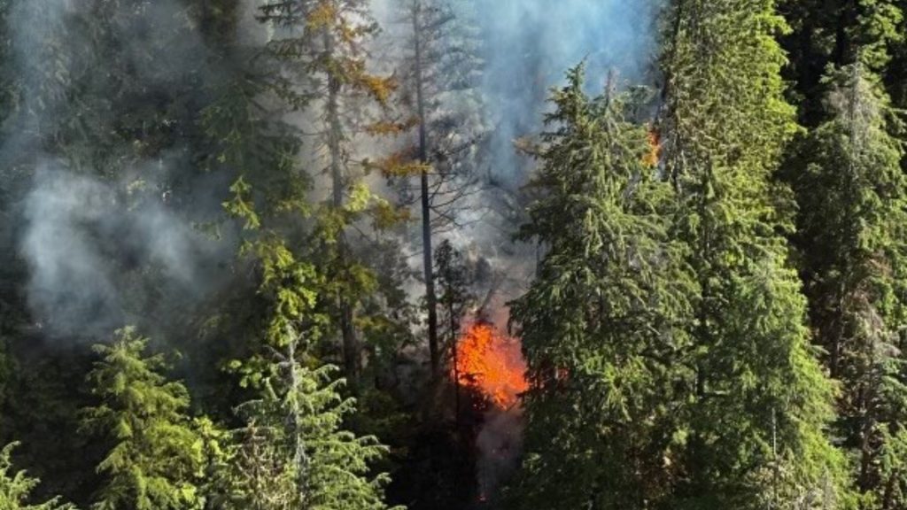 Smoke and flames rise from Mount Seymour where a wildfire was discovered on July 12, 2023