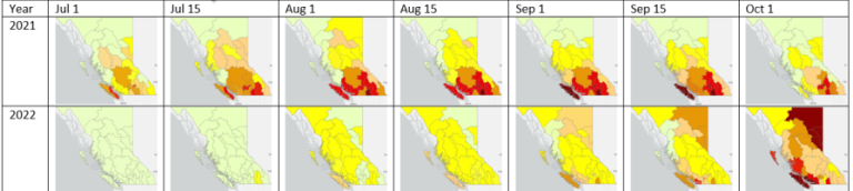 B.C. Drought Conditions 2023 | CityNews Vancouver