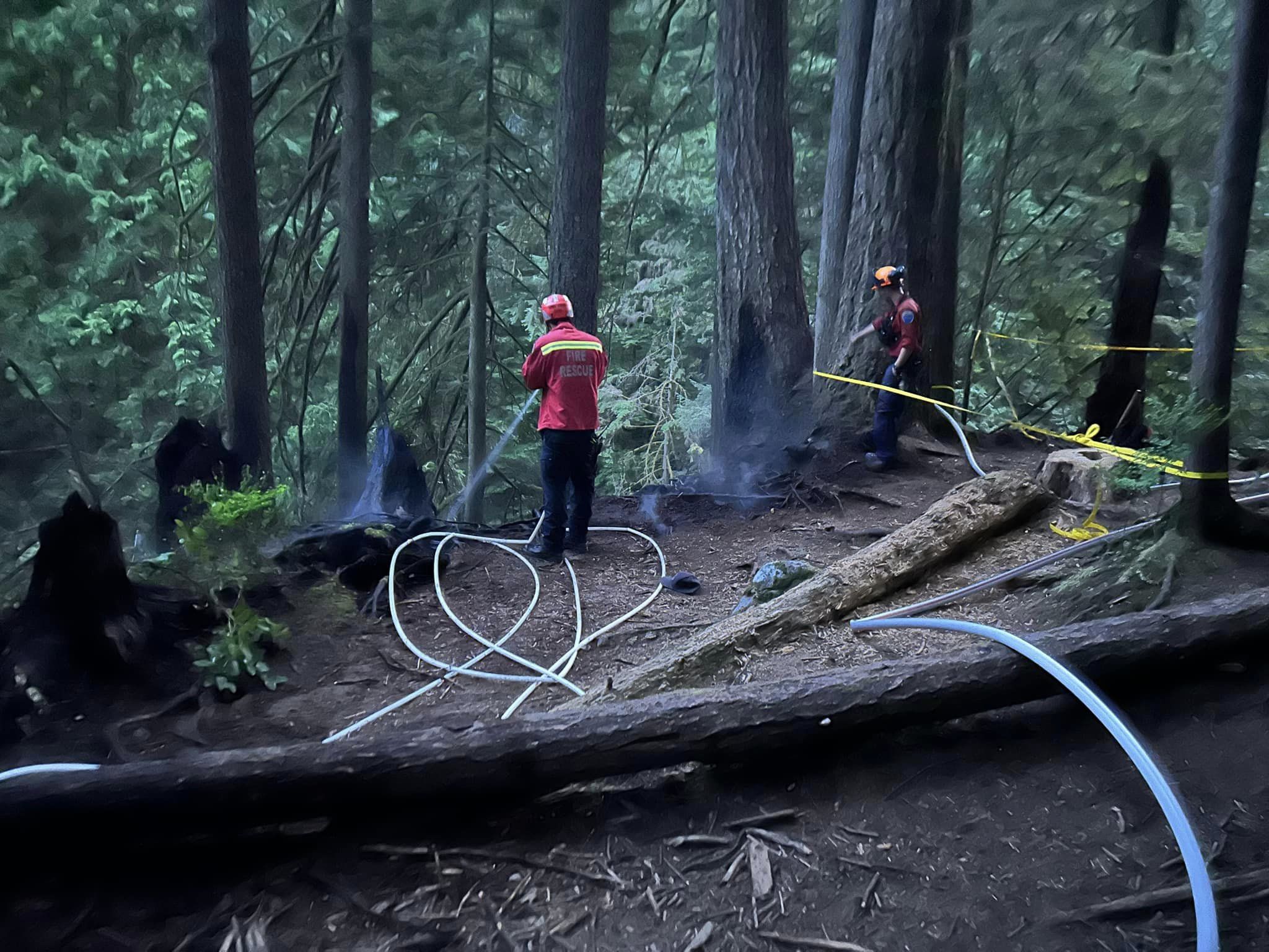 District of North Vancouver fire crews work to put out flames in the Lynn Canyon area, which is heavily forested