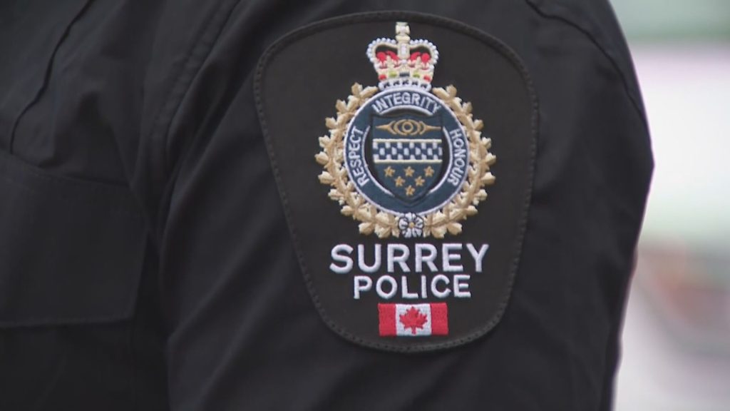 BC has removed civilian oversight of SPS: policing advisor