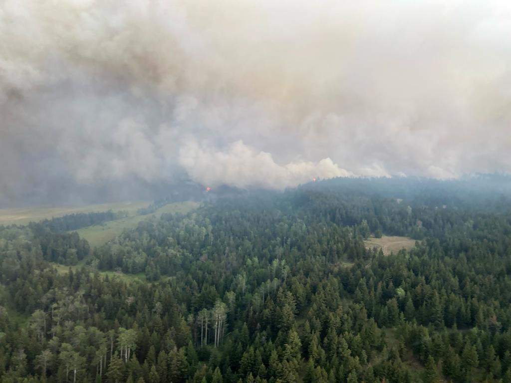 Kamloops Wildfire Grows To 2,600 Hectares | CityNews Vancouver