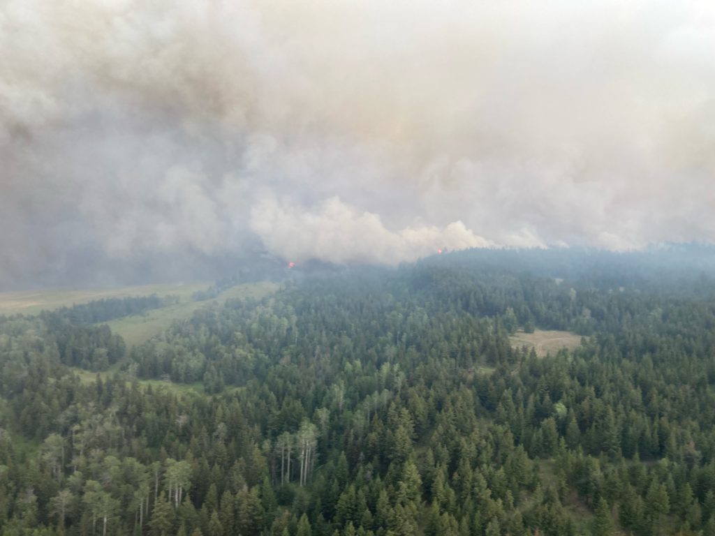 The Ross Moore Lake wildfire located approximately 13 kilometres south of Kamloops. (Courtesy BC Wildfire Service)