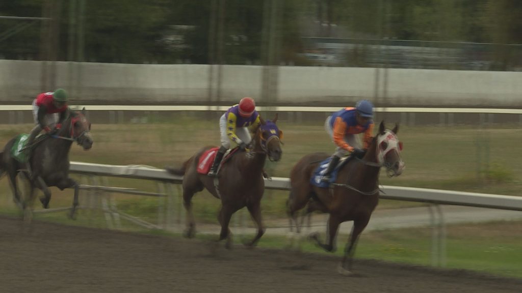 Vancouver Humane Society protests Hastings horse races after deaths, injuries