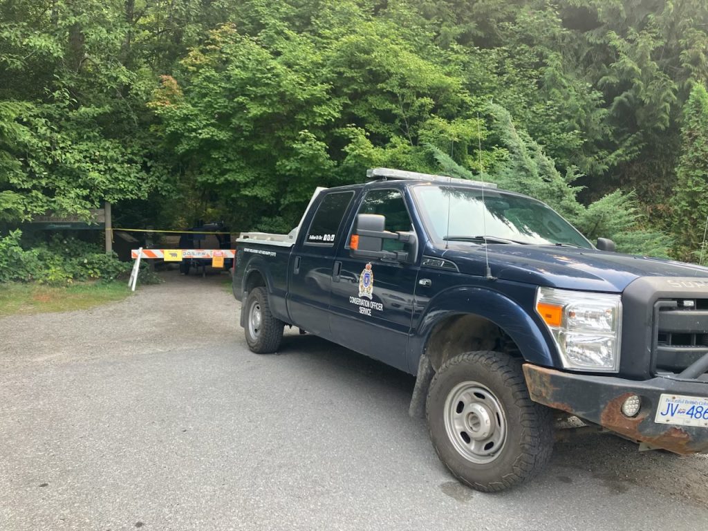 A woman in Squamish was swatted at by a black bear on a trail Saturday. (The BC Conservation Officer Service)