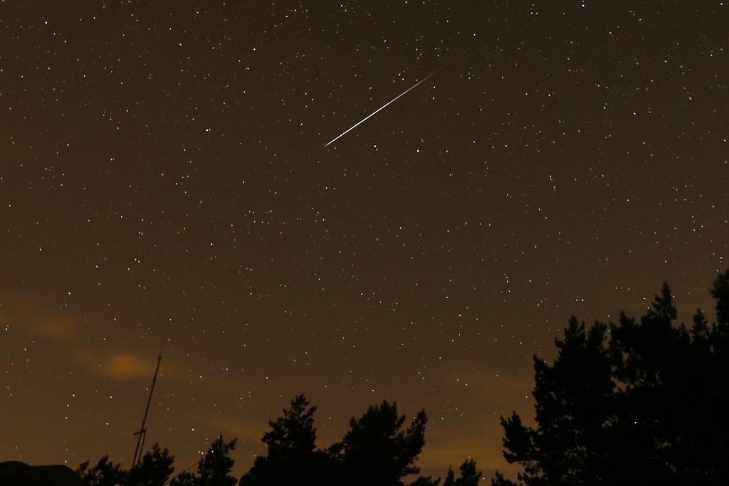 Perseid meteor shower where to view in BC CityNews Vancouver