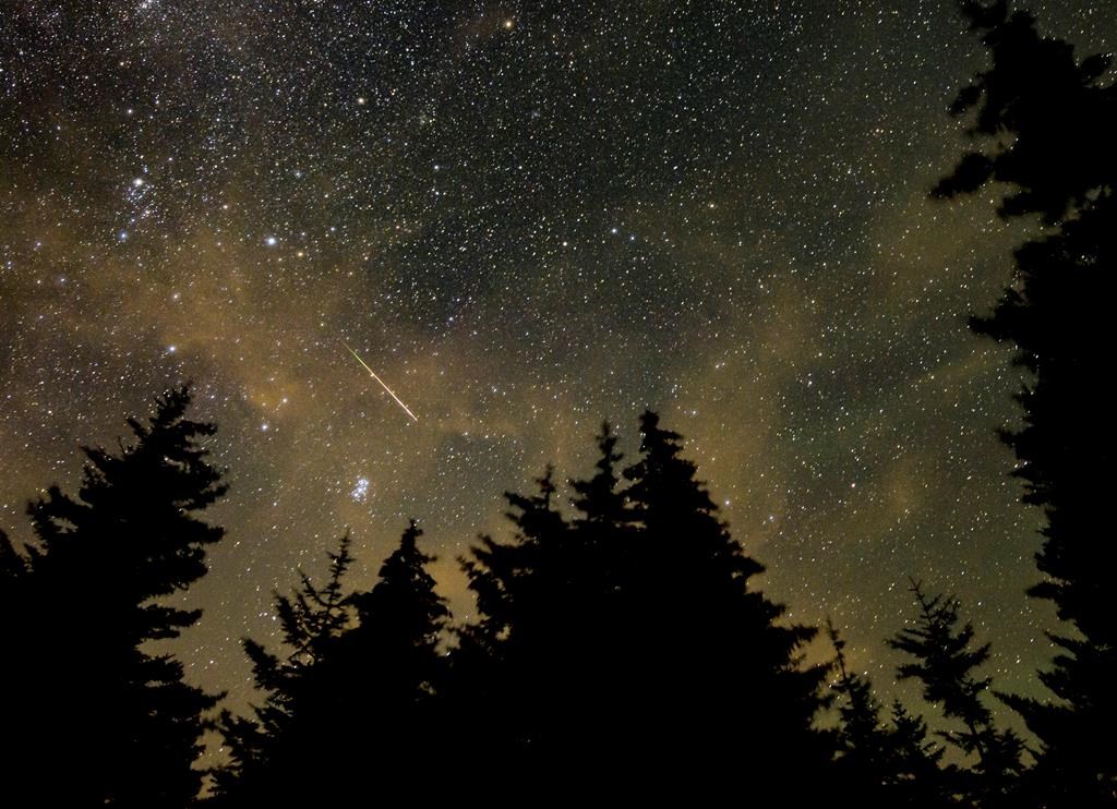 Gli sciami meteorici delle Perseidi e le aurore boreali si radunano nel cielo