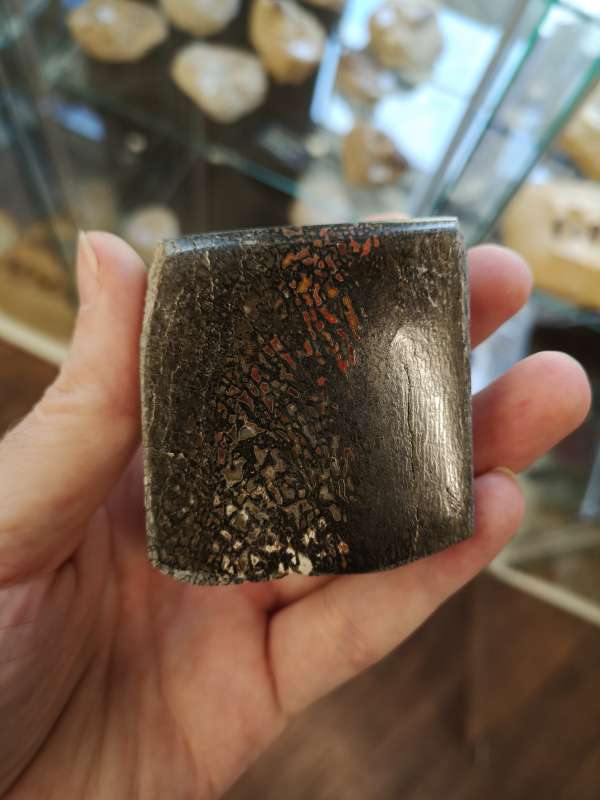 Artifacts from Vancouver's Rubble Rock and Gem.