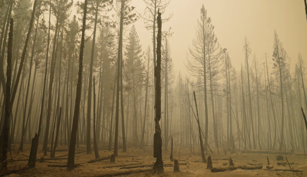 Residents of British Columbia's Shuswap region must wait another day for evacuation orders to lift in wildfire-ravaged areas of the community, complicating the return to school for some students.