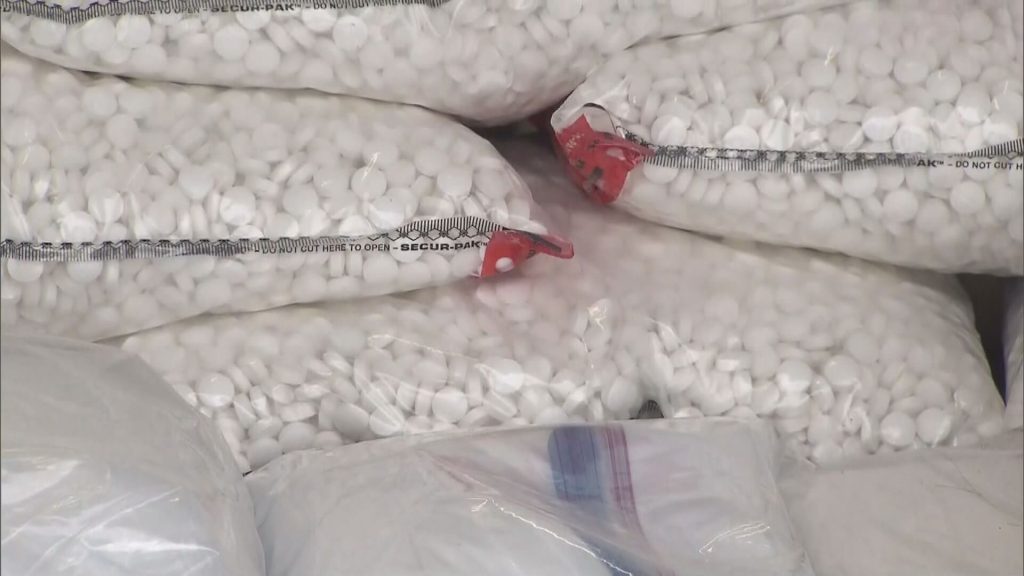 Bags of white pills identified as drugs are piled.