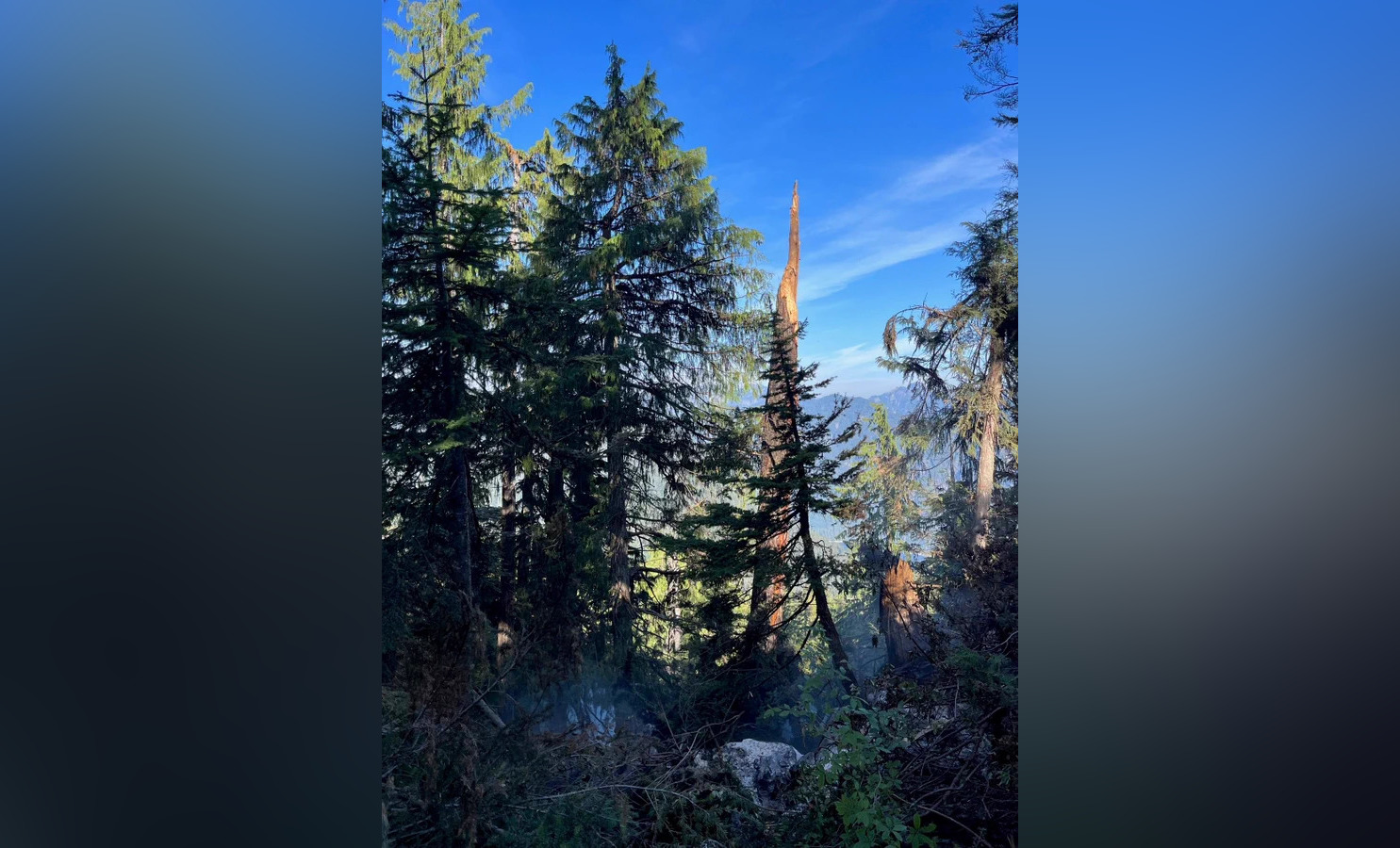 Coquitlam Wildfire Quickly Suppressed | CityNews Vancouver