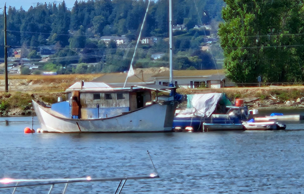 Derelict boats in the Nicomekl River in South Surrey