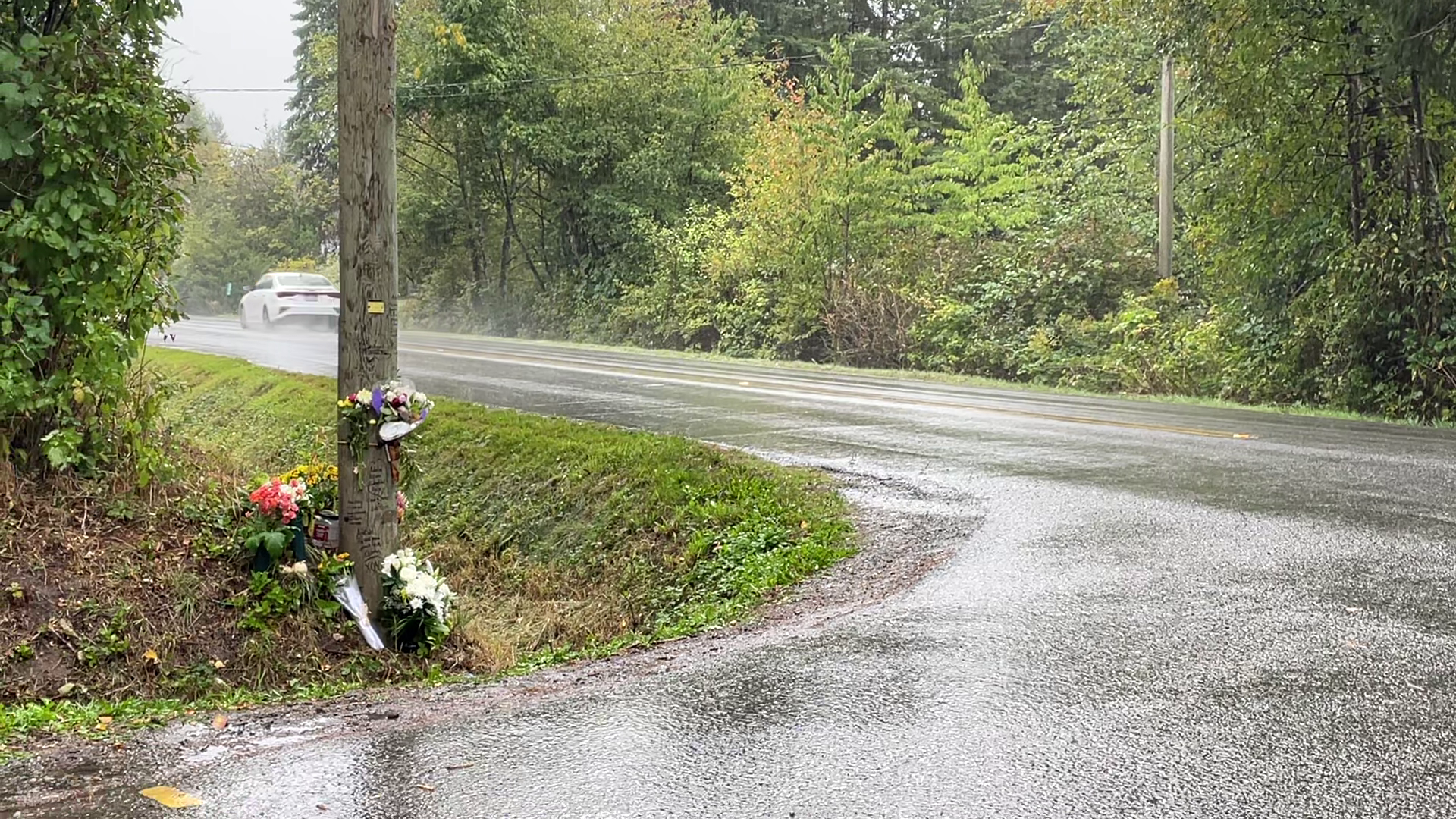 A Langley neighbourhood is voicing concerns after a pedestrian was fatally struck by a vehicle last week. 