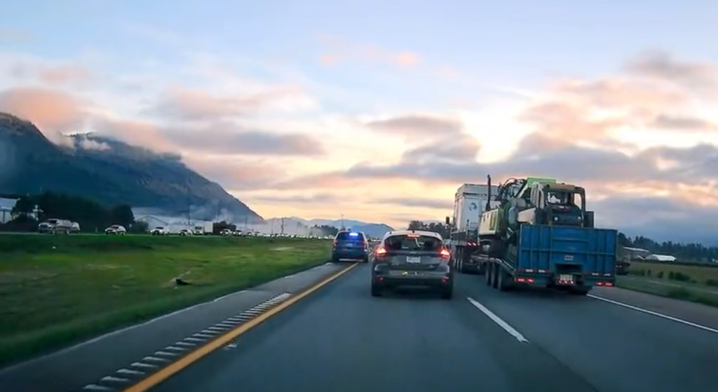 A bear was struck by a vehicle along Highway 1 in Abbotsford Tuesday morning.