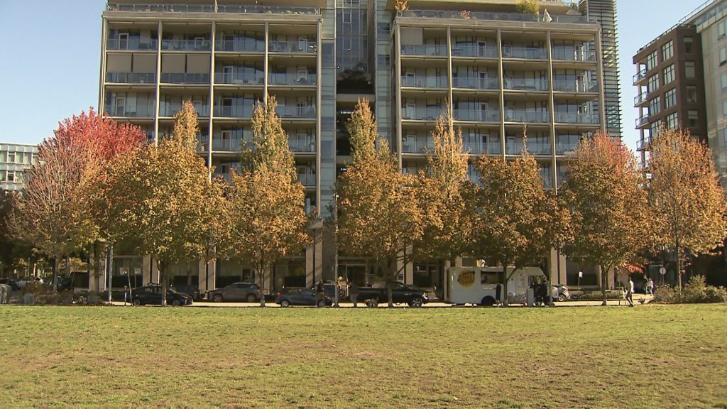 Sunny fall weather is seen