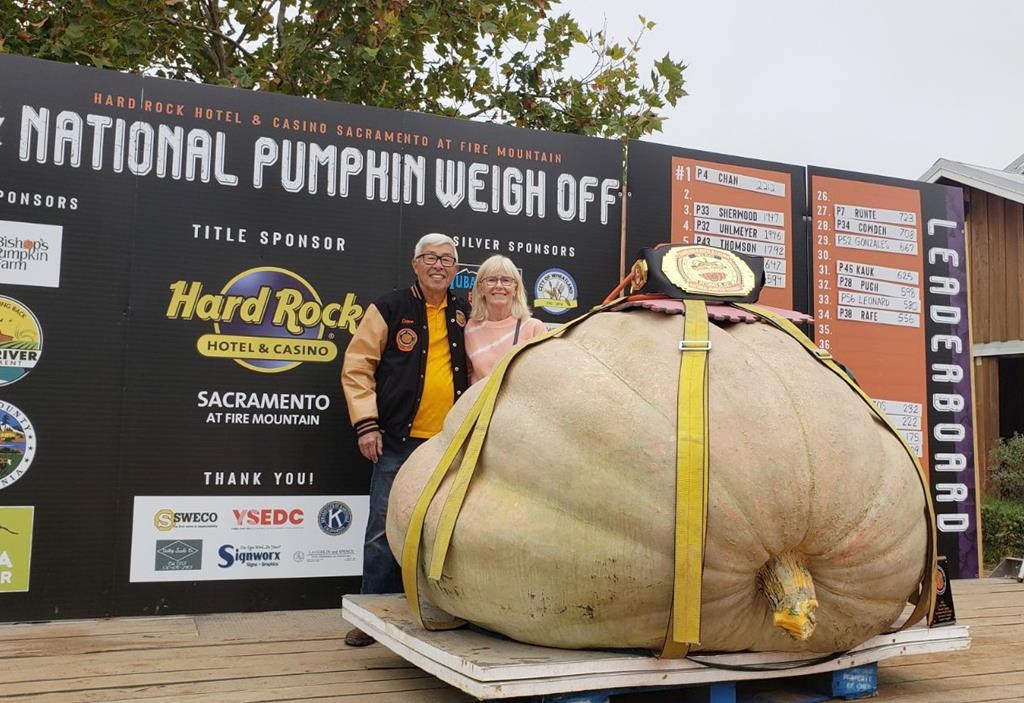 B.C. man takes giant pumpkin on road trip | CityNews Vancouver