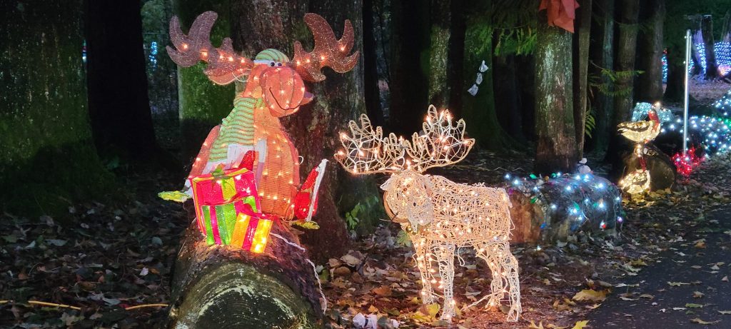 Christmas lights and decorations set up in the Township of Langley at Williams Park.