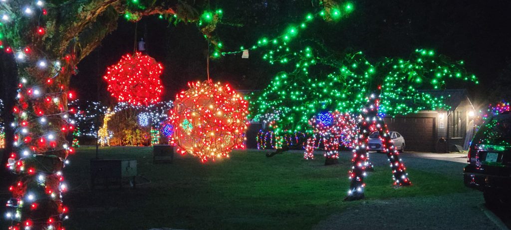 Christmas lights and decorations set up in the Township of Langley at Williams Park.