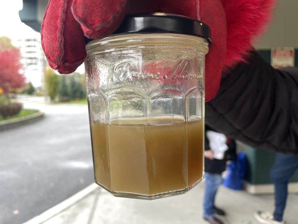 Tenants of Skyline Towers in New Westminster are worried because water coming out of their taps is murky and like 'sludge.'