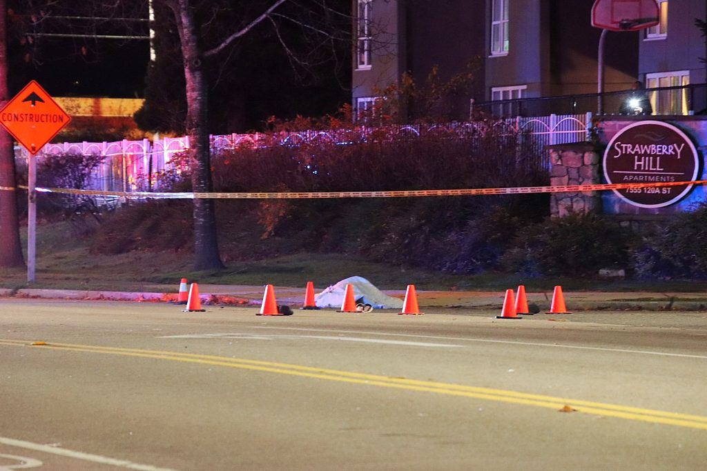 A fatal hit-and-run in SUrrey Wednesday night killed an 81-year-old man in the city's Strawberry Hills neighbourhood. (Credit: Shane MacKichan)