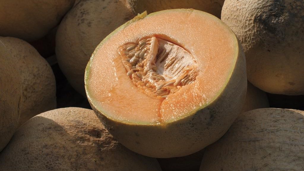Another batch of cantaloupes recalled over Salmonella risk