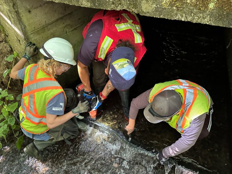 Flexi Baffles are installed in Surrey's Bon Accord Creek to assist salmon's passage through the previously blocked waterway.