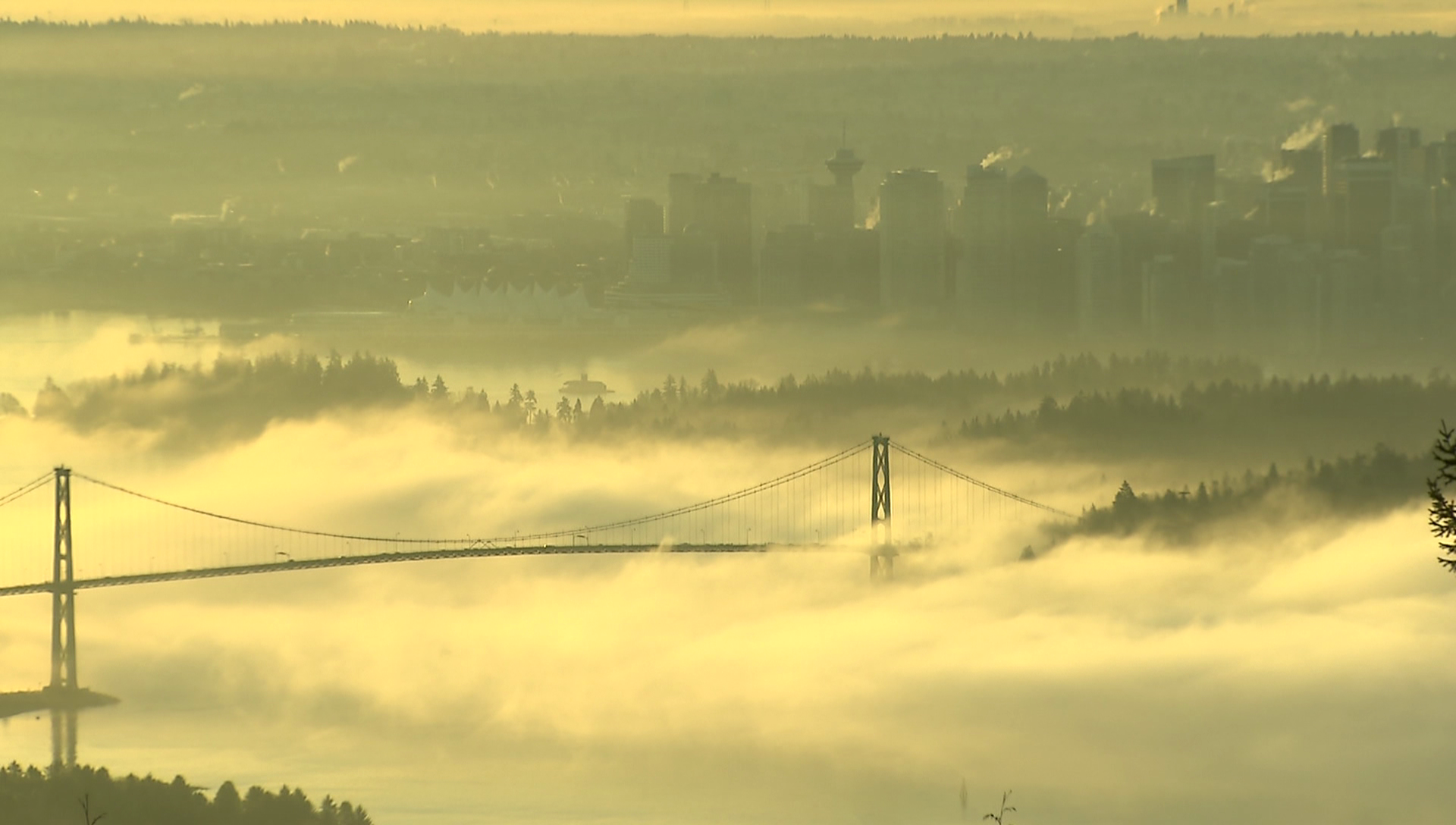 温哥华地区发布雾霾警报