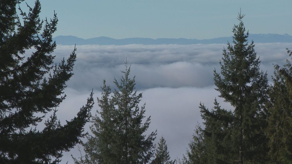 Fog is seen in Metro Vancouver on Monday November 27