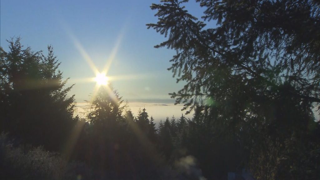 Foggy conditions in Metro Vancouver on Tuesday November 28