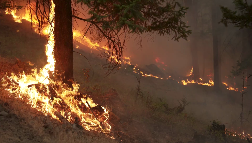 Video shares snapshot of 2023 B.C. wildfire season