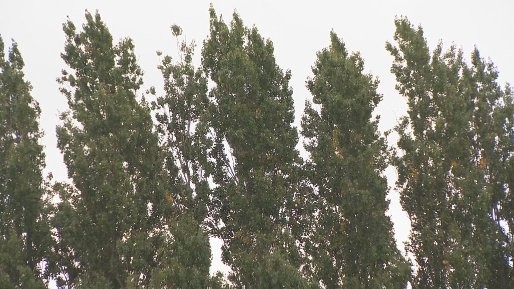 Rainy and windy conditions are seen in Vancouver on Monday September 25, 2023.