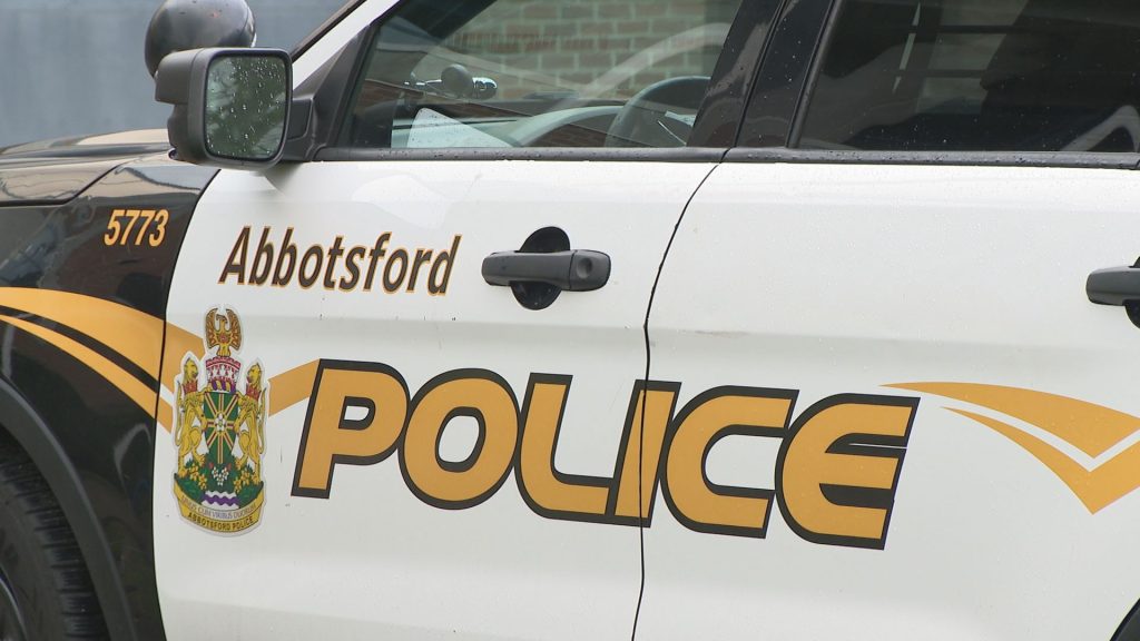 Pedestrian dies after being hit by snowplow in Abbotsford