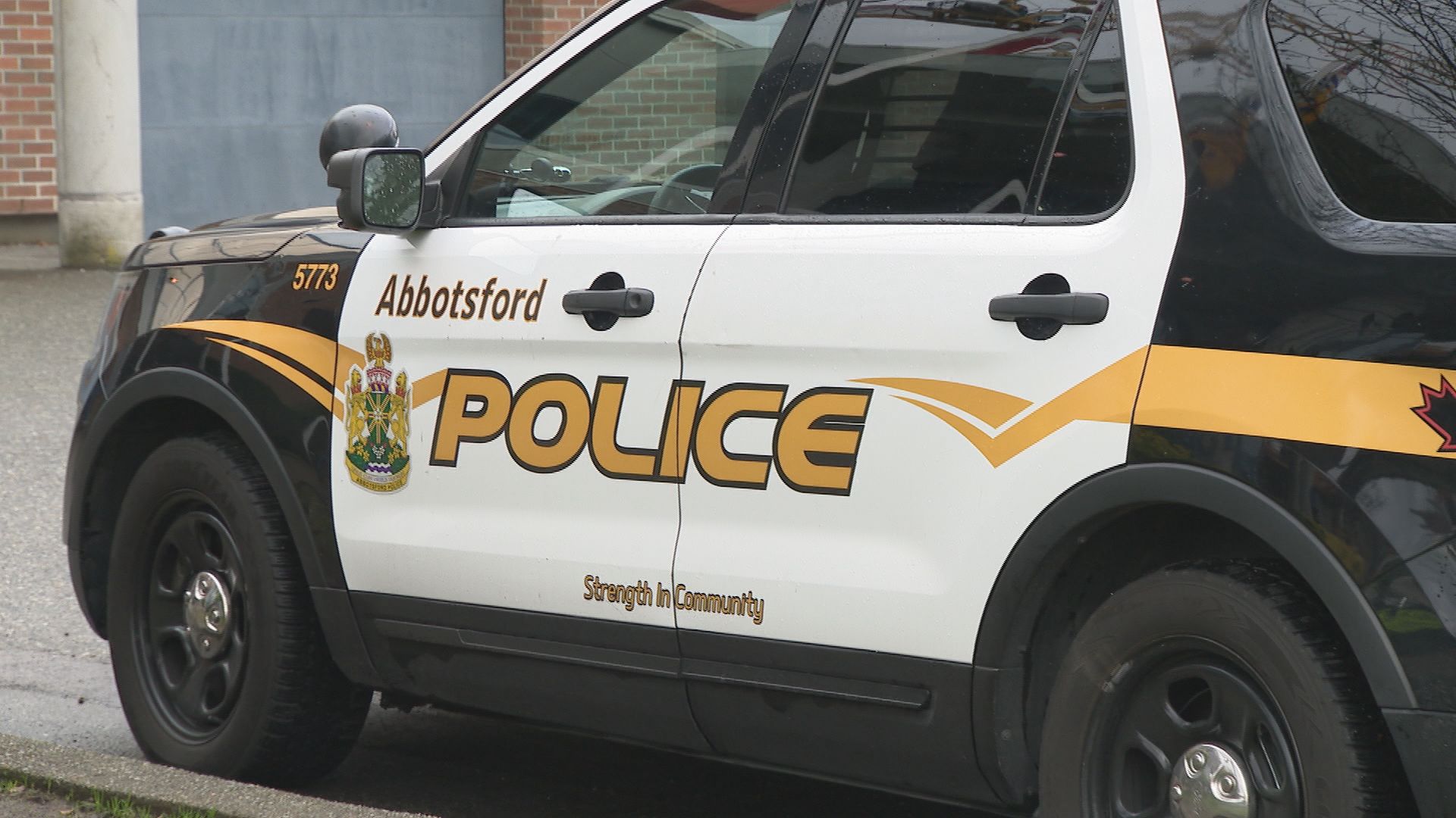 Senior Killed In Abbotsford Collision: Police | CityNews Vancouver