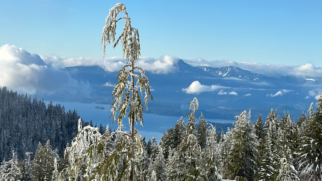 The view from Cypress Mountain on Jan. 6, 2024