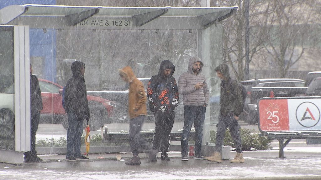Snowy conditions are seen in Surrey, B.C.