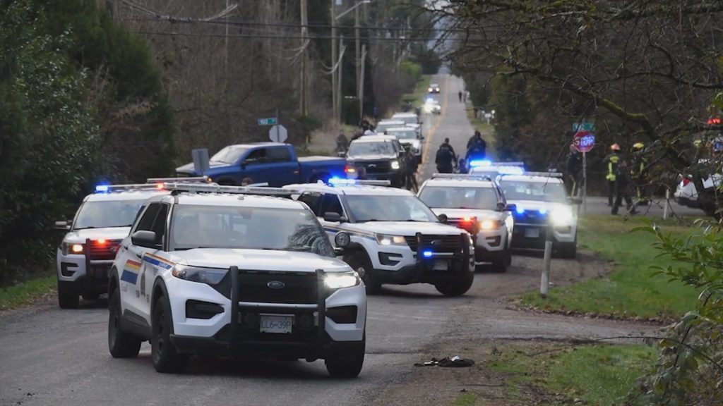 Mounties in Surrey say they are investigating reports of the theft of a vehicle at gunpoint Sunday afternoon which resulted in one officer being taken to hospital