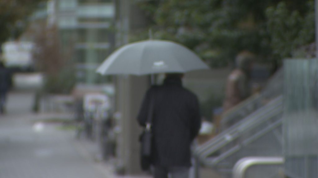 A person walks with an umbrella.